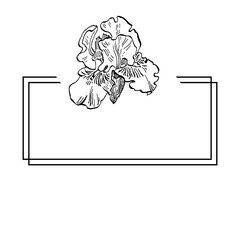 Hand drawn irises floral logo, frame, border, promo element. Brand emblem template. Minimalistic monogram.