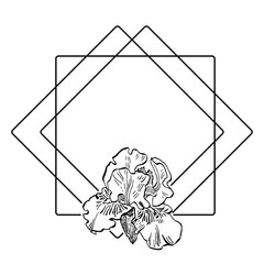 Hand drawn irises floral logo, frame, border, promo element. Brand emblem template. Minimalistic monogram.