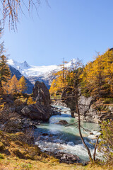 Fototapeta na wymiar Autumn colors and a glacier river in a beautiful landscape view