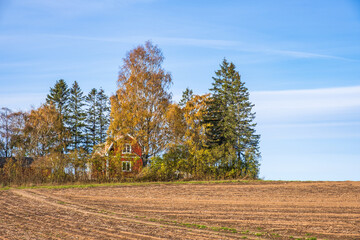 Country house by a field in autumn