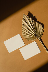 Paper sheet card with blank mockup copy space and dried fan leaf on warm tan background with shadow silhouette in soft sun light