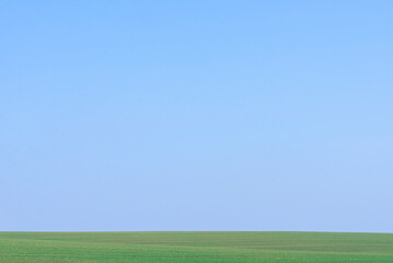 Green field with blue sky as background.