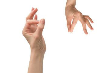 Woman hand isolated on a white background.