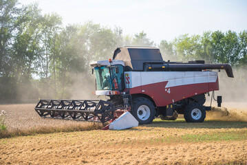 Obraz premium Cereal harvesting with harvest combine on sunny day