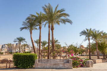 Fototapeta na wymiar Sharm El Sheikh, an Egyptian city on the southern tip of the Sinai Peninsula.