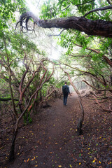 Anaga-Gebirge, Teneriffa
