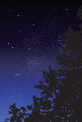 ベクター背景素材_夜空_森