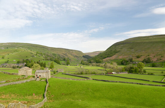 View over Swaledale from path above Reeth in Yorkshire Dales