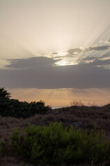 Escapando de la oscuridad