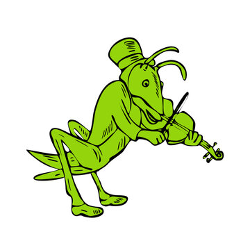 Grasshopper Fiddler Drawing