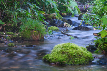 わさび平の風景