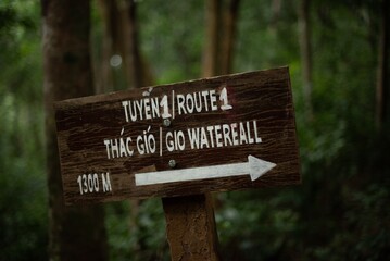 sign in the forest