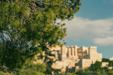 ancient Greece architecture ruins blurred background urban landmark travel destination view, evergreen tree needles foreground focus