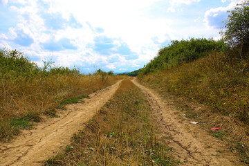 Fototapeta na wymiar road in the field