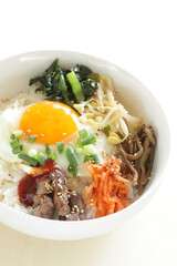Korean food, namul assorted seasoning vegetable with sunny side up fried egg and gochujang