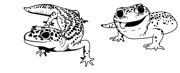 Gecko. Black and white illustration of a gecko.