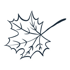 Maple leaf. Vector illustration with doodles on the theme of cozy autumn. A cute element for greeting cards, posters, stickers and seasonal design. Isolated on a white background