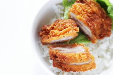 Fried chicken fillet on rice for Asian food image
