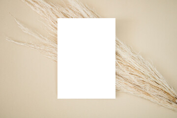 Beige mockup for invitation card with dry grass 
