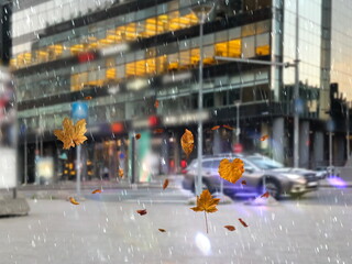 
  Autumn rainy city  modern buildings and rain fall with Autumn leaves urban background 