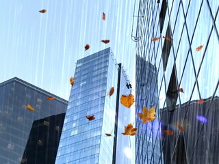 
  Autumn rainy city  modern buildings and rain fall with Autumn leaves urban background 