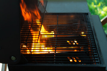 Fire burning under the grill grate, a small part of the green lawn