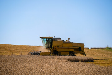 Fototapeta premium Combine harvester harvests ripe wheat. Agriculture. Selective focus