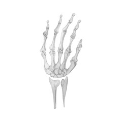 Skeleton hand watercolor single element. Template for decorating designs and illustrations.