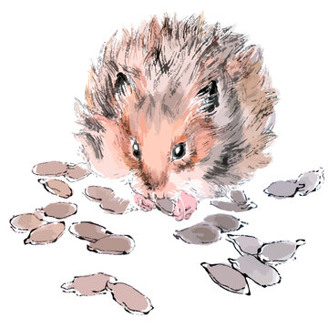 Vector illustration of hamster with pumpkin seeds. Traditional chinese ink and wash painting