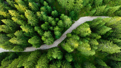 View from above, stunning aerial view of a beautiful mountain forest with a dirt road in the middle. Dolomites, Italy..