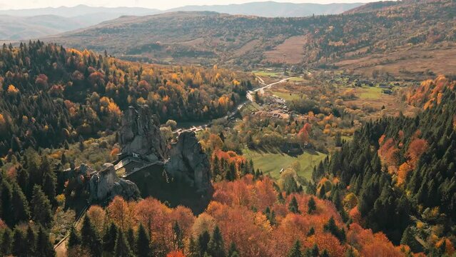 Green, red and yellow pine tree forest on mountain range. Morning mist over hills and meadows. Nature background. Beautiful wild landscape. Summer vacation tourism. Cinematic aerial drone flight