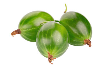 Ripe green gooseberry isolated on white background. Fresh Agrus. Full depth of field.