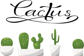 a network of cacti in pots with lettering