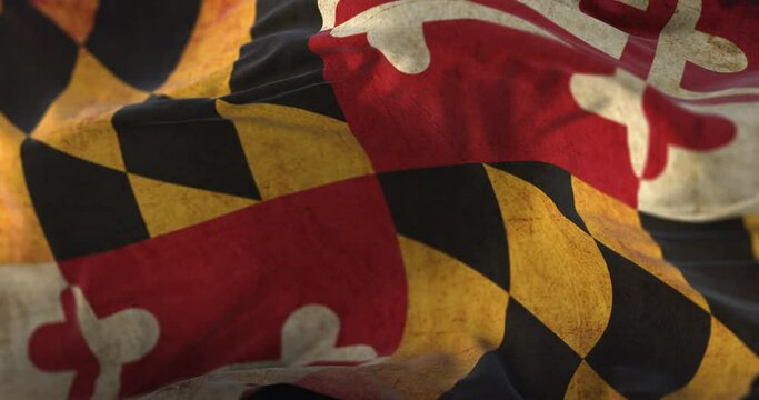 Old Flag of american state of Maryland, United States, waving at wind. Loop