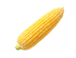 Fresh corn isolated on white background. Clipping path.