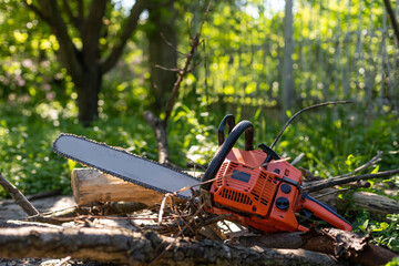 Close-up professional chainsaw blade cutting log of wood