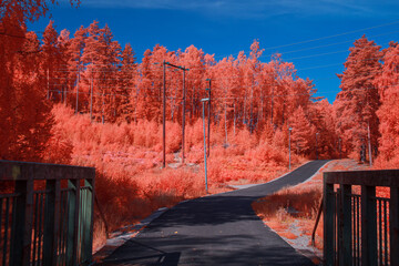 ir chrome infrared landscape 
