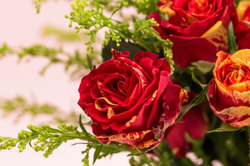 Red multi-headed roses in full bloom