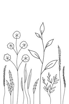 Set of doodle sketch hand draw poppy and fantasy flowers vector.