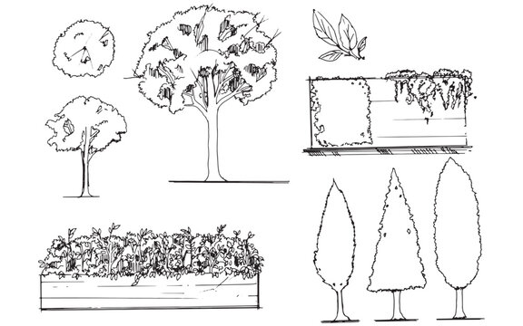 Tree plants, leaves, and potted plants are depicted in line art.,2d illustration