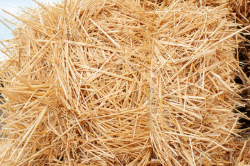 Haystack in the village. Farming. Feed for livestock.