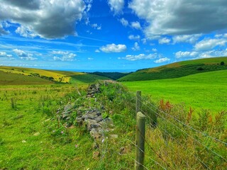 Fototapeta na wymiar BEautiful Welsh pasture land.