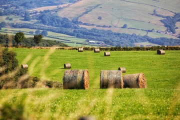 Hay bales in a Welsh field
