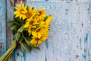Bouquet of sunflowers on a blue wooden background. Old blue wooden door with yellow flowers. Copy...