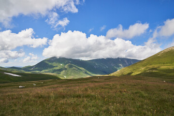 Fototapeta premium alpine meadows with flowers in the mountains with clouds on a sunny day