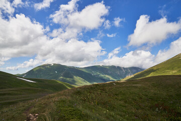 Obraz premium alpine meadows with flowers in the mountains with clouds on a sunny day