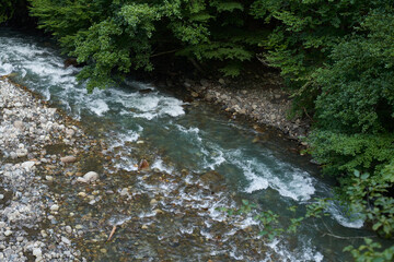 mountain river in the green jungle of nepal on trekking