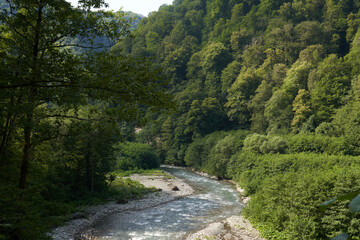 Fototapeta na wymiar mountain river in the green jungle of nepal on trekking