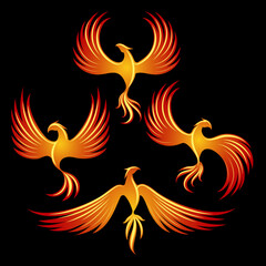 Fire fenix logo elements