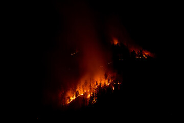 Forest wildfire at night a natural disaster